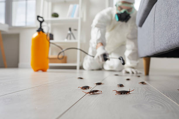 Post-Treatment Bed Bug Interceptor Monitoring in Ruleville