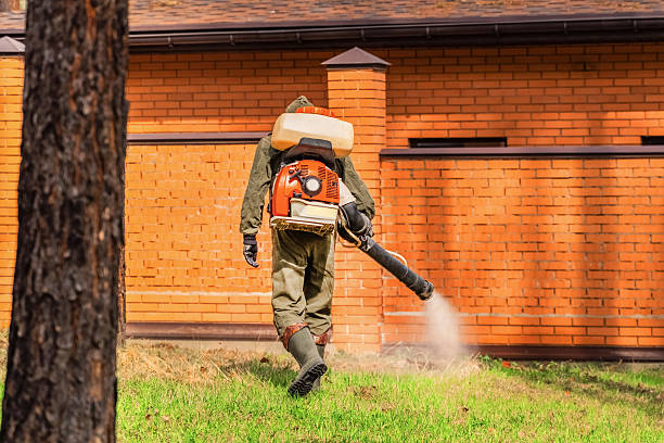 Bed Bug Clearance Verification and Documentation in Ruleville